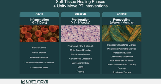 Soft-Tissue Healing 101: What Happens (and What to Do) in the Acute, Subacute, and Chronic Phases