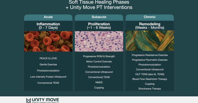 Soft-Tissue Healing 101: What Happens (and What to Do) in the Acute, Subacute, and Chronic Phases image
