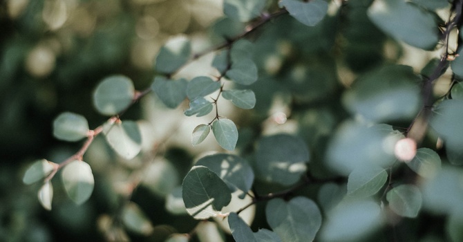 Sports Rehabilitation